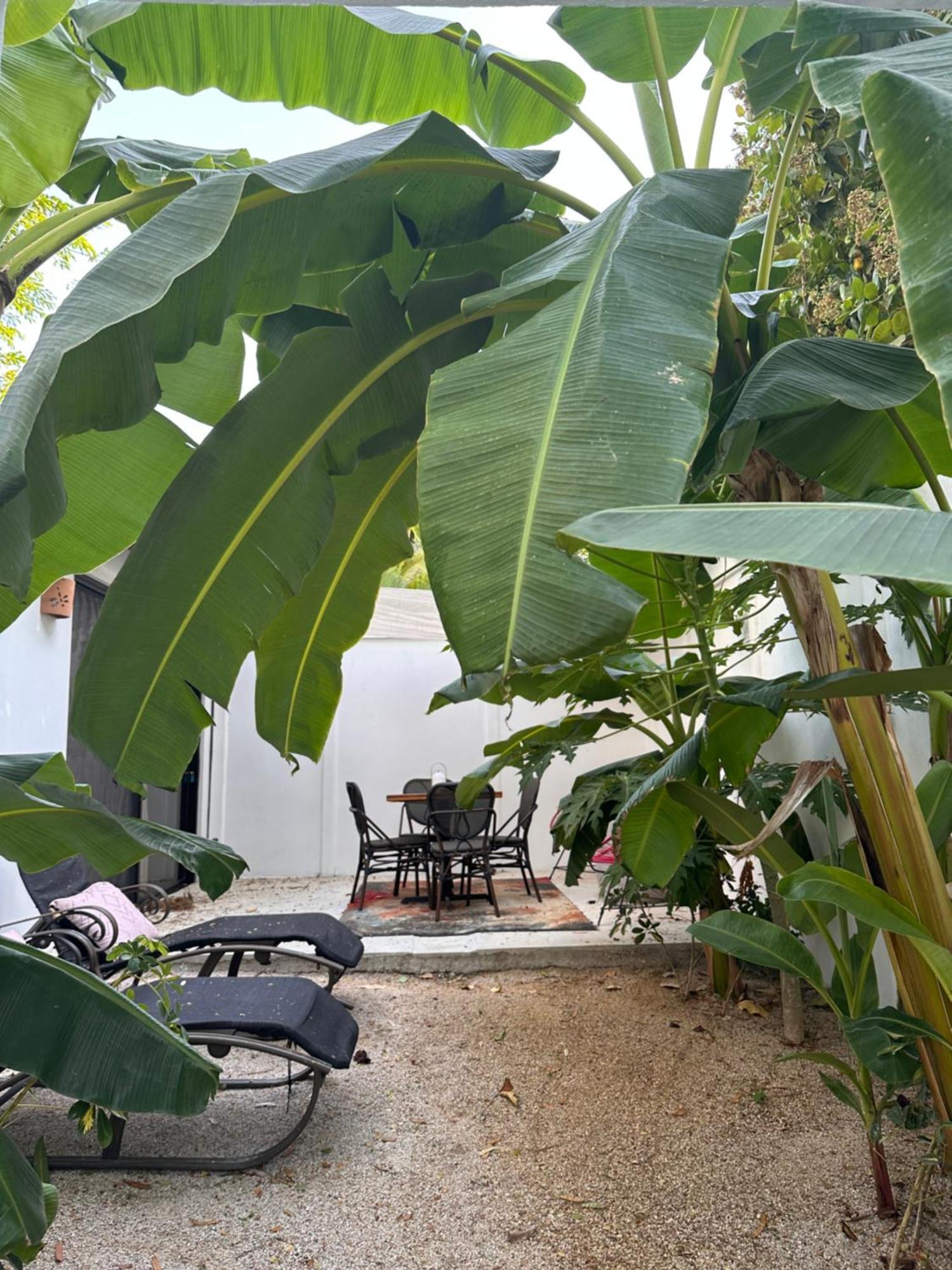 Curiol Boutique Hotel & Lounge Potrero  Buitenkant foto