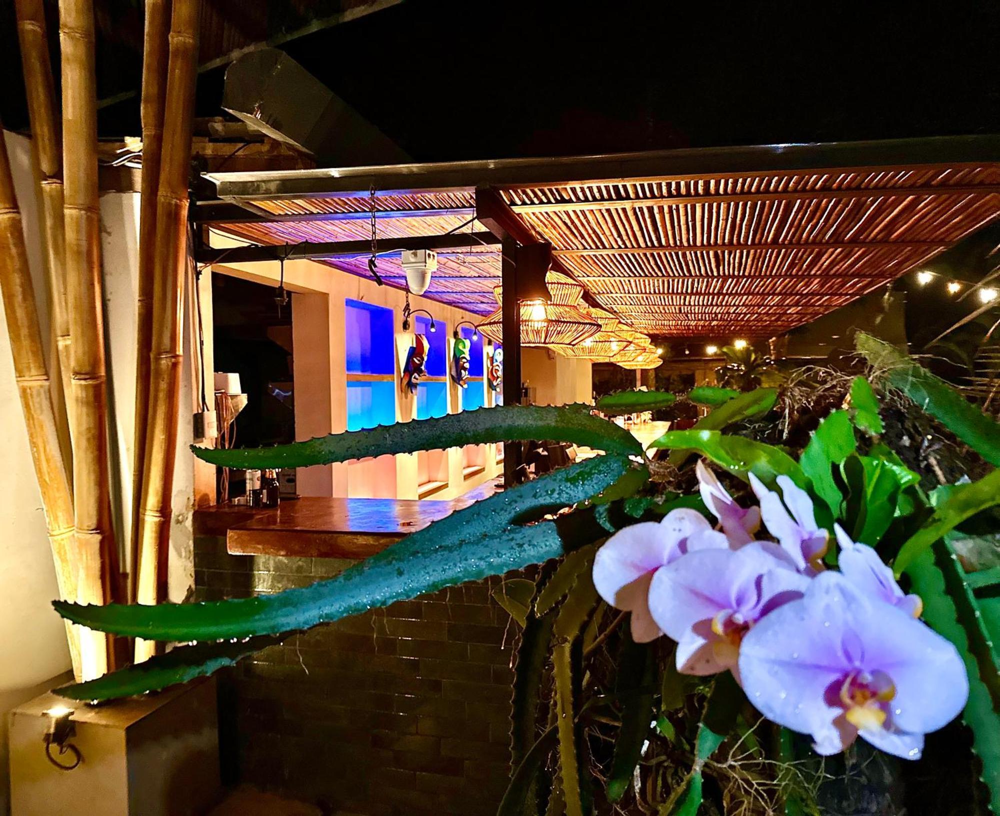 Curiol Boutique Hotel & Lounge Potrero  Buitenkant foto